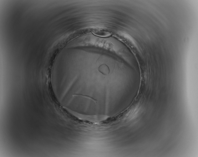 X0000089731064200707051735