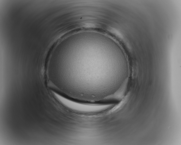 X0000089731065200707051735