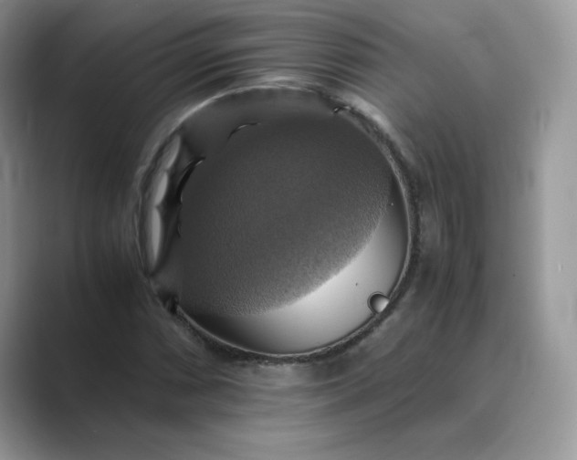 X0000089731066200707051735