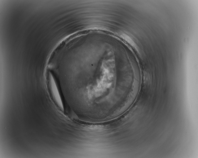 X0000089731068200707051735
