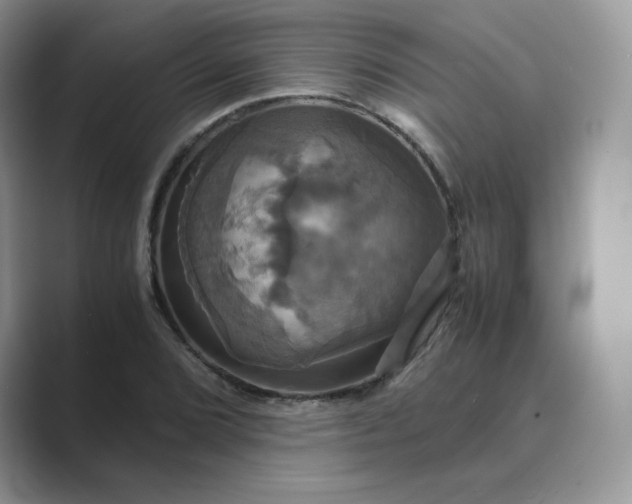 X0000089731072200707051735