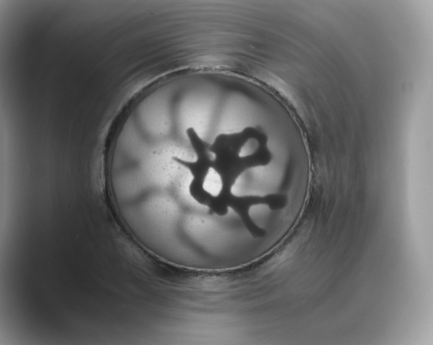 X0000089731075200707051735