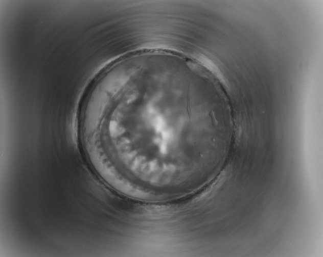 X0000089731076200707051735