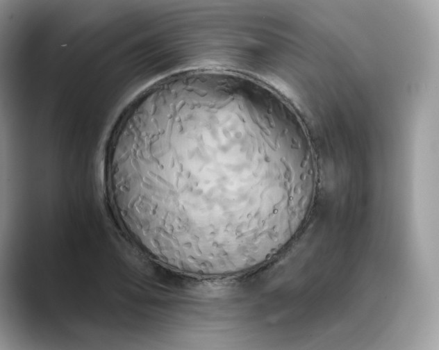 X0000089731078200707051735