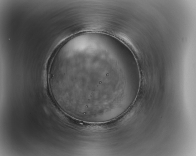 X0000089731079200707051735