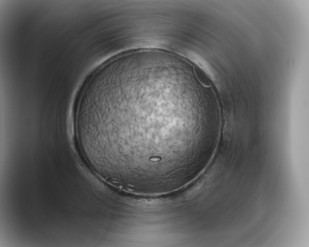 X0000089731080200707051735
