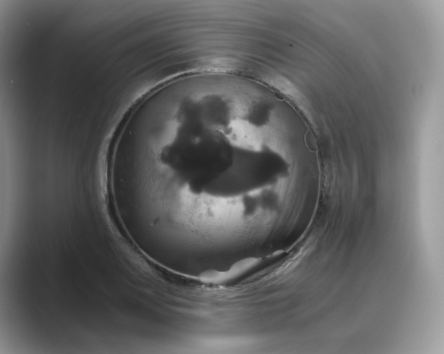 X0000089731083200707051735