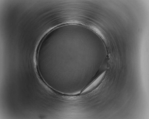 X0000089731084200707051734