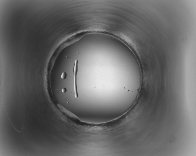 X0000089731085200707051734