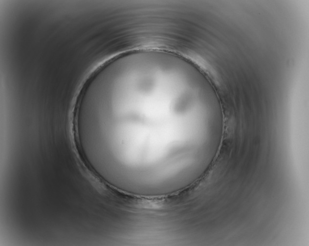 X0000089731086200707051734