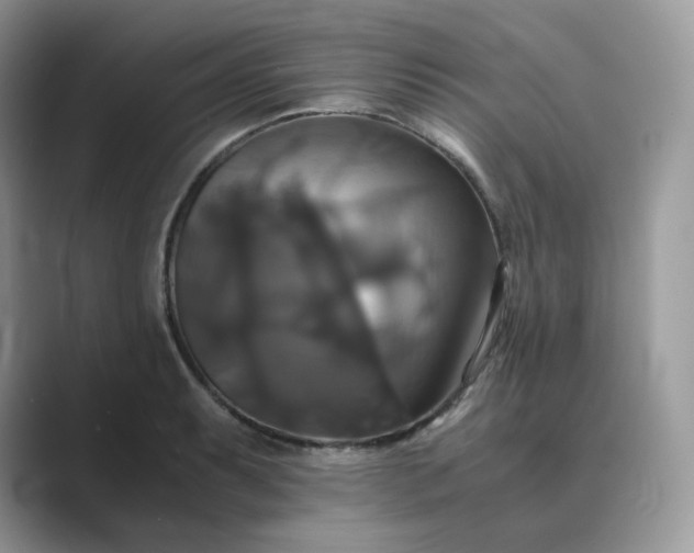 X0000089731087200707051734