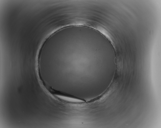 X0000089731088200707051734
