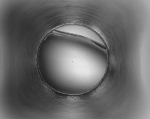 X0000089731089200707051734