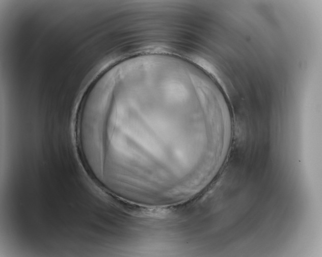 X0000089731090200707051734