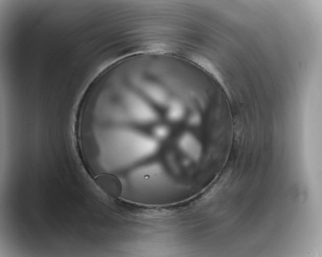 X0000089731091200707051734