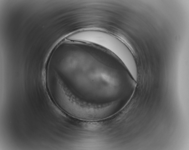X0000089731092200707051734