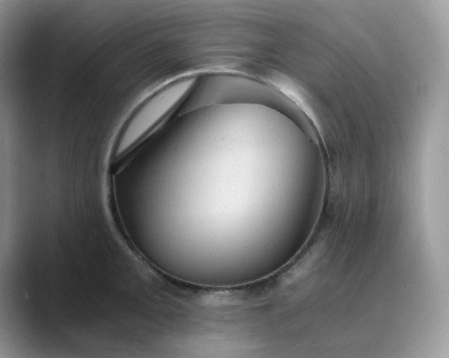 X0000089731093200707051734