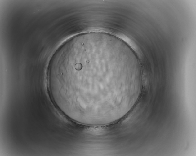 X0000089731094200707051734