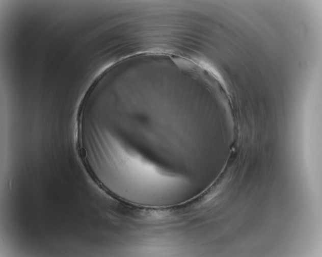 X0000089731095200707051734
