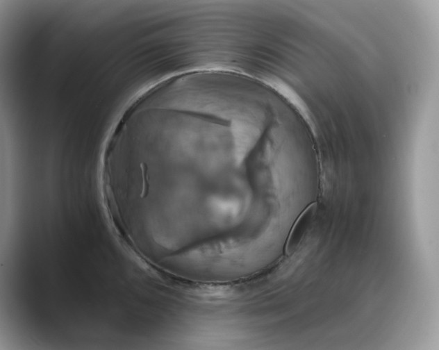 X0000089731096200707051734