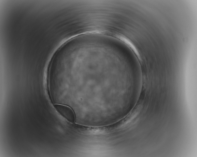 X0000089731099200707051734