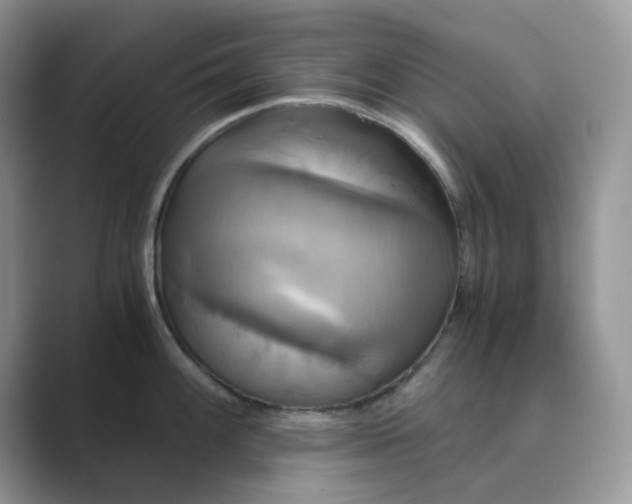 X0000089731100200707051734
