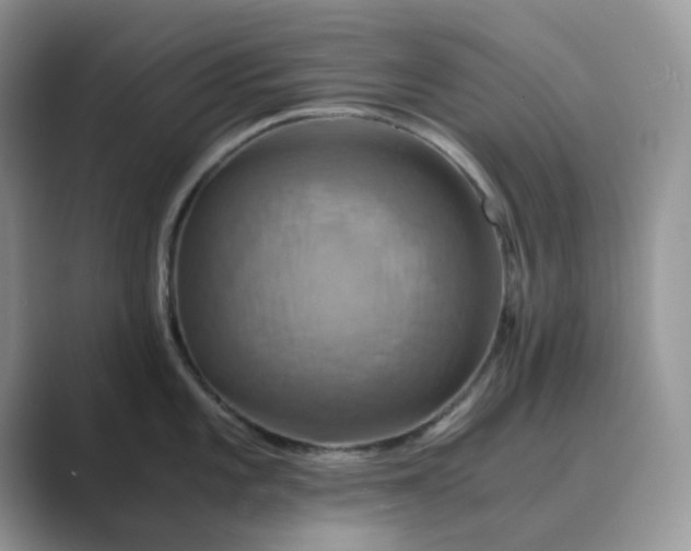 X0000089731101200707051734