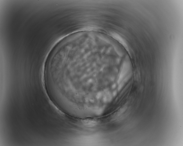 X0000089731103200707051734