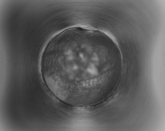 X0000089731104200707051734