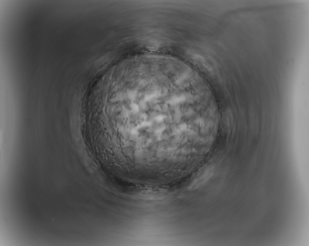 X0000089731105200707051734