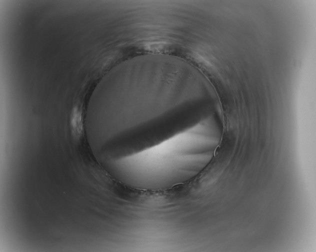 X0000089731106200707051734