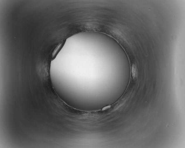 X0000089731107200707051734
