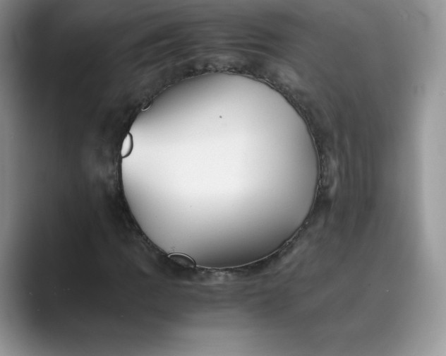 X0000089731109200707051734