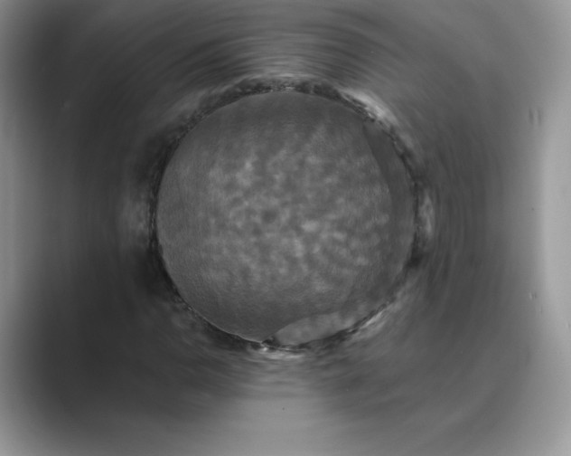 X0000089731110200707051734
