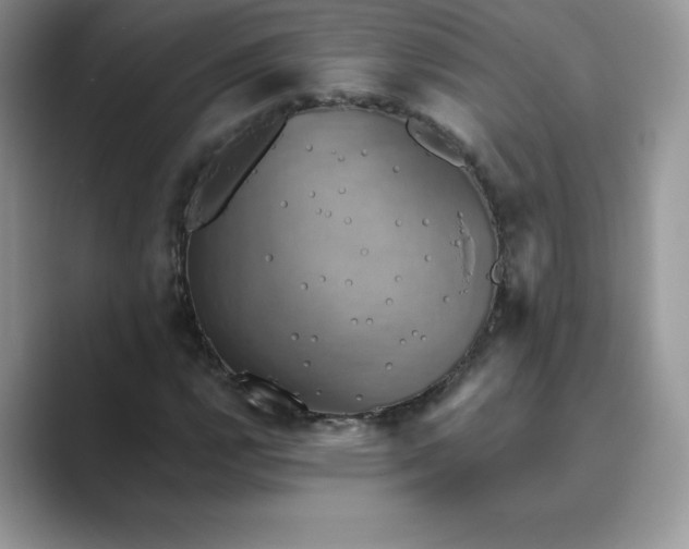 X0000089731112200707051734