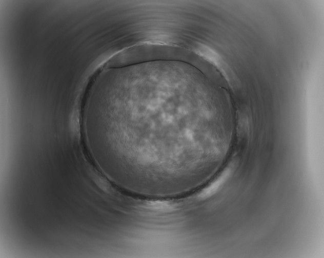 X0000089731114200707051734
