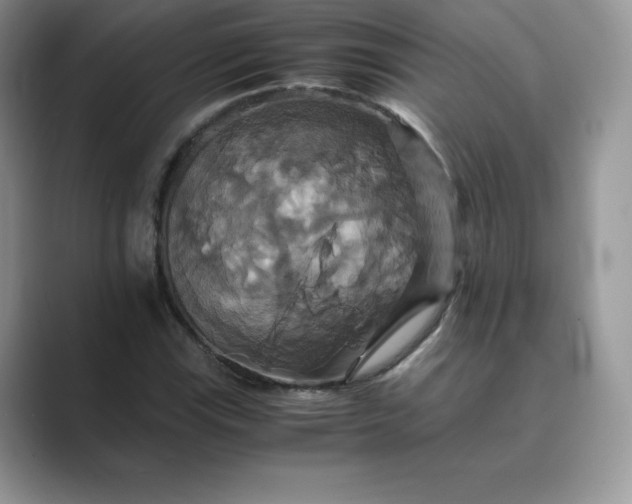 X0000089731115200707051734