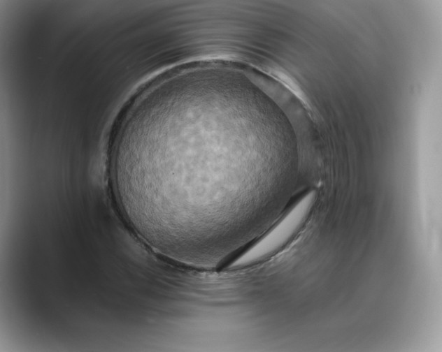 X0000089731116200707051734