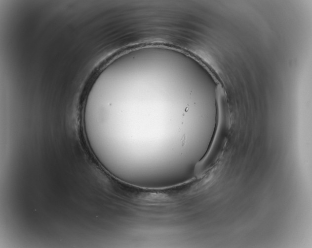 X0000089731119200707051734