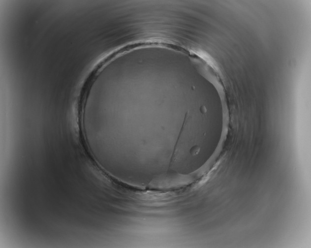 X0000089731120200707051734