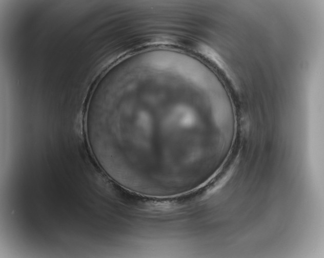 X0000089731121200707051734