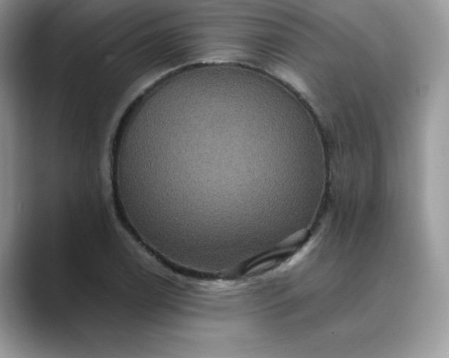 X0000089731122200707051734