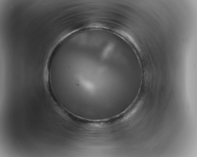 X0000089731125200707051734