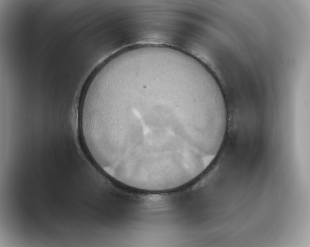 X0000089731130200707051734