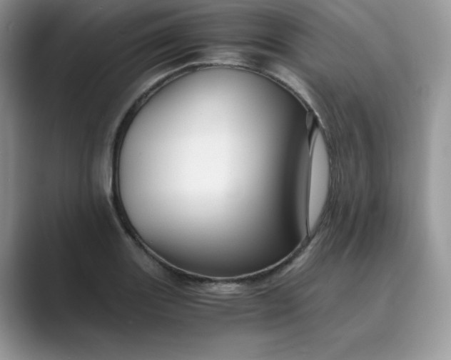 X0000089731131200707051734