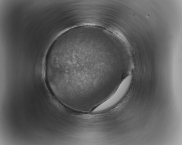 X0000089731132200707051734