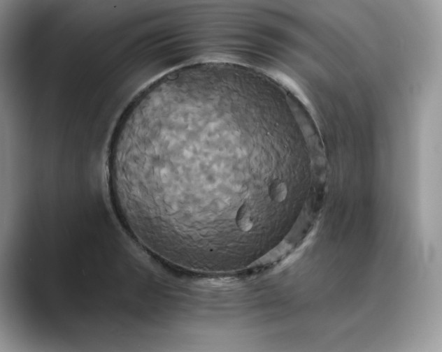 X0000089731133200707051734
