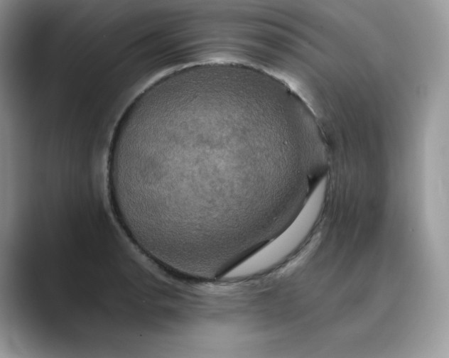X0000089731134200707051734