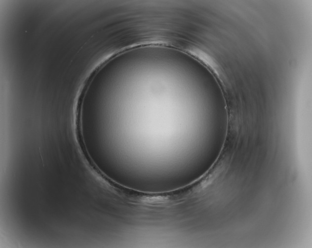 X0000089731135200707051734