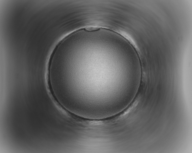 X0000089731136200707051734